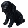 Michael Carr Designs Michael Carr Designs MCD80099 Shadow Black Labrador Puppy; Small MCD80099